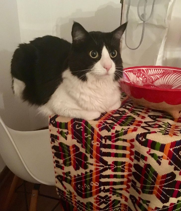 92d0e550448e8bfb1300e94163