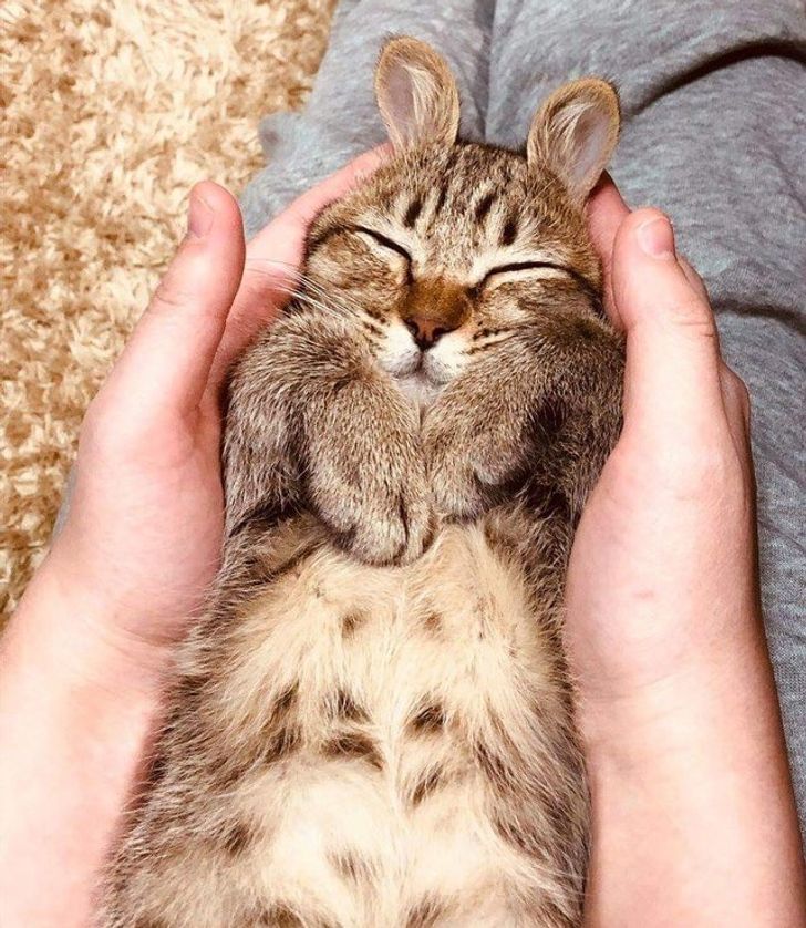 92d4065ec6a169599cd0974bb0