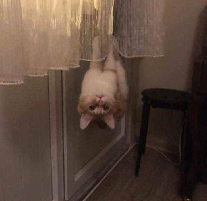 92d665573a85ebeb6b502fc061