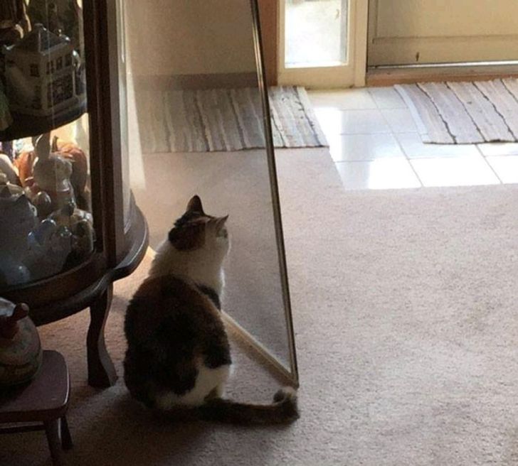 92dba45cfa9dbddb3986afbd35