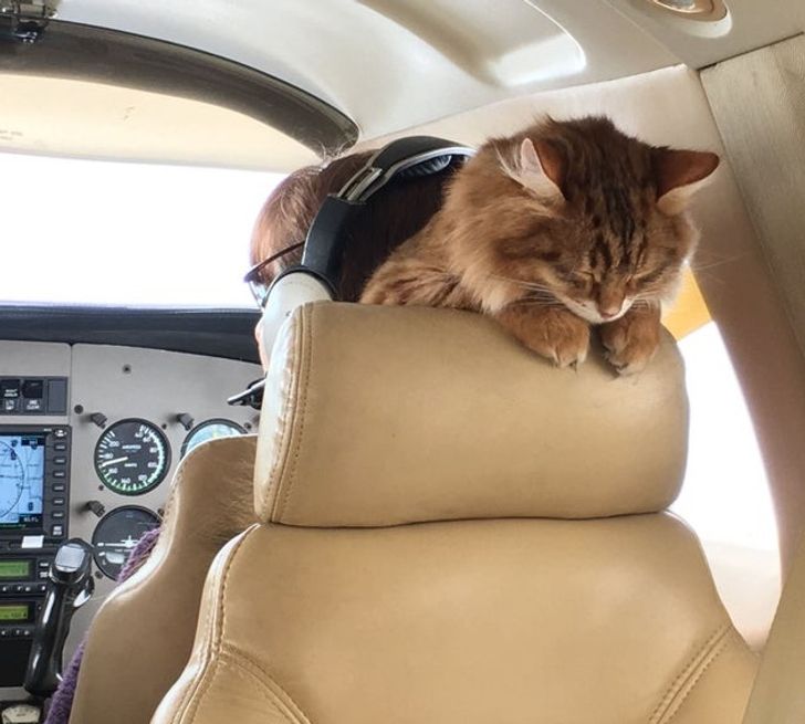 92e2535d4a99f64d1888cad6e1