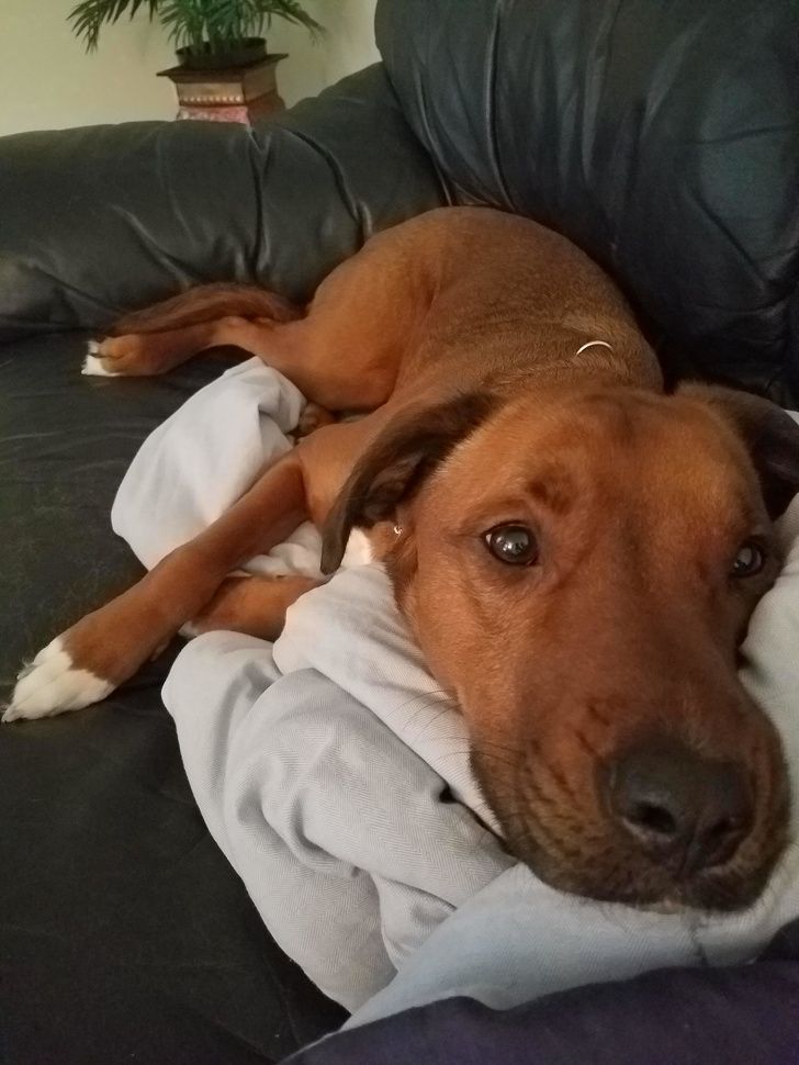 92e4645d13b367cbd6950e5a74