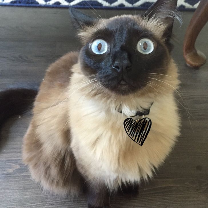 92e6dd589d9ac46888a0a61469