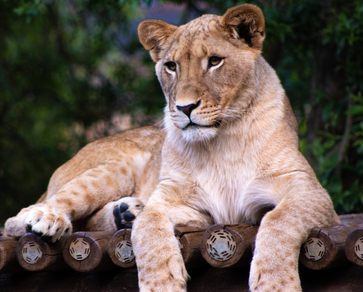 92e70d5e4885c157b0c23169b0