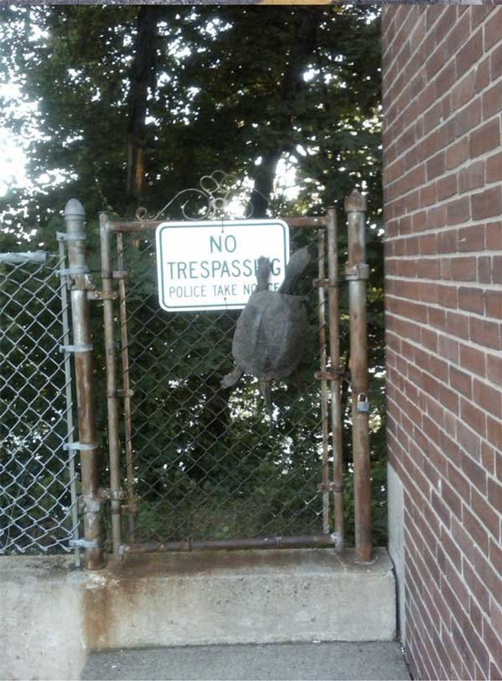 92ed5c5bb3904ffc8094b7120b