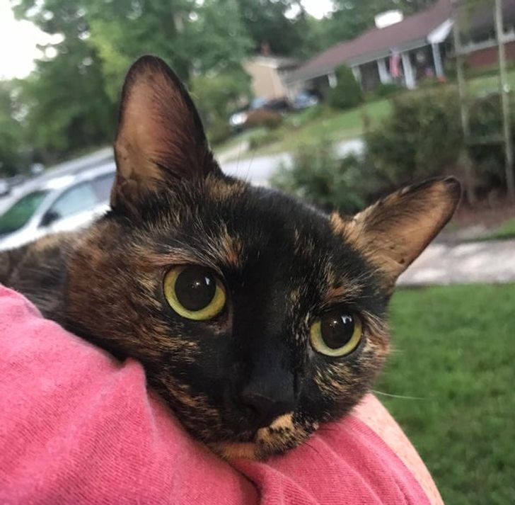 92f65753b1b103090791ba21ce