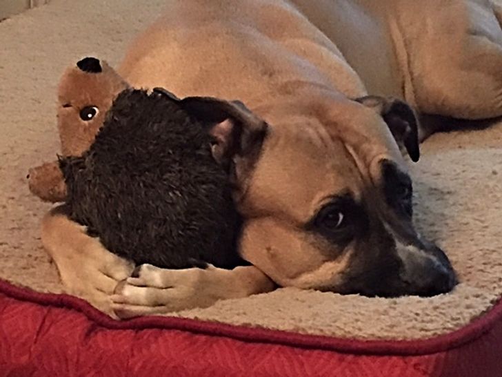 92f81b52c29b6321af5c34c310