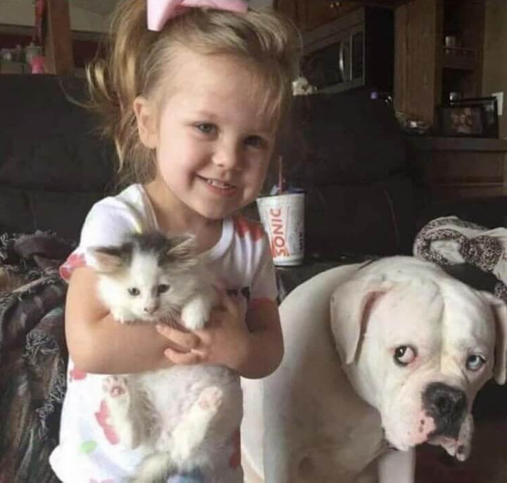 92fb705f6999044ae8cf0688b2 92fb705f6999044ae8cf0688b2