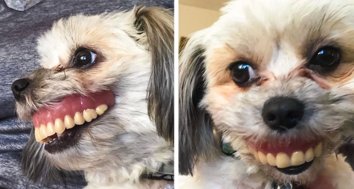 93014e50019590a89fb6e93713