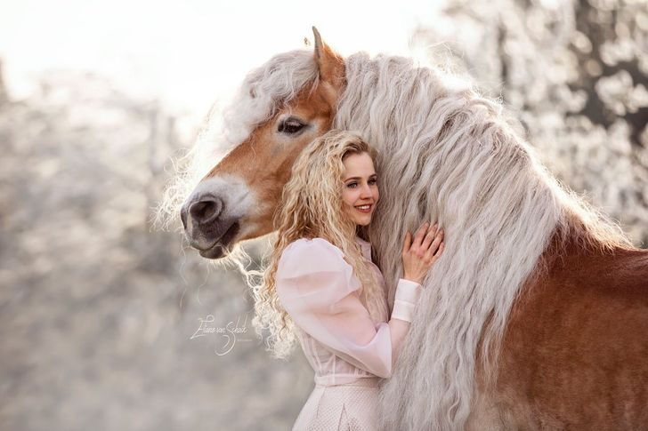 9310f5552288ad43906c1b54b5