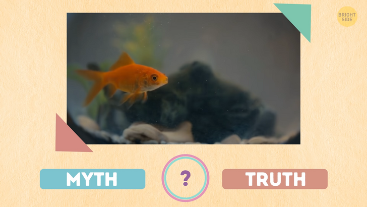 93223e5889ace5270858435f3c