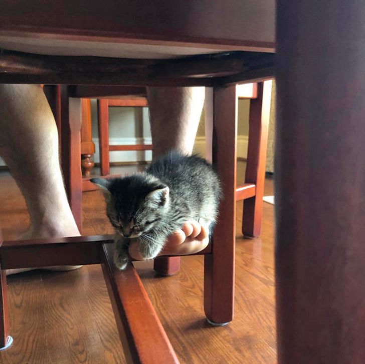 93250850be95168dbd468a9d8c