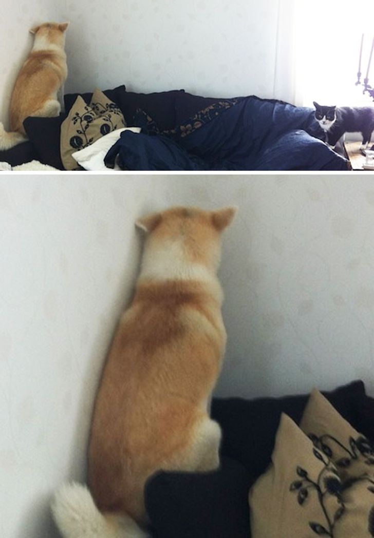 9325585ca9a0739649a1c9ae10