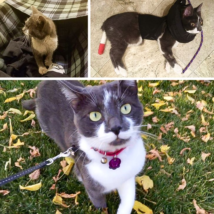 93270c55d39828e8c4bb4dcde3