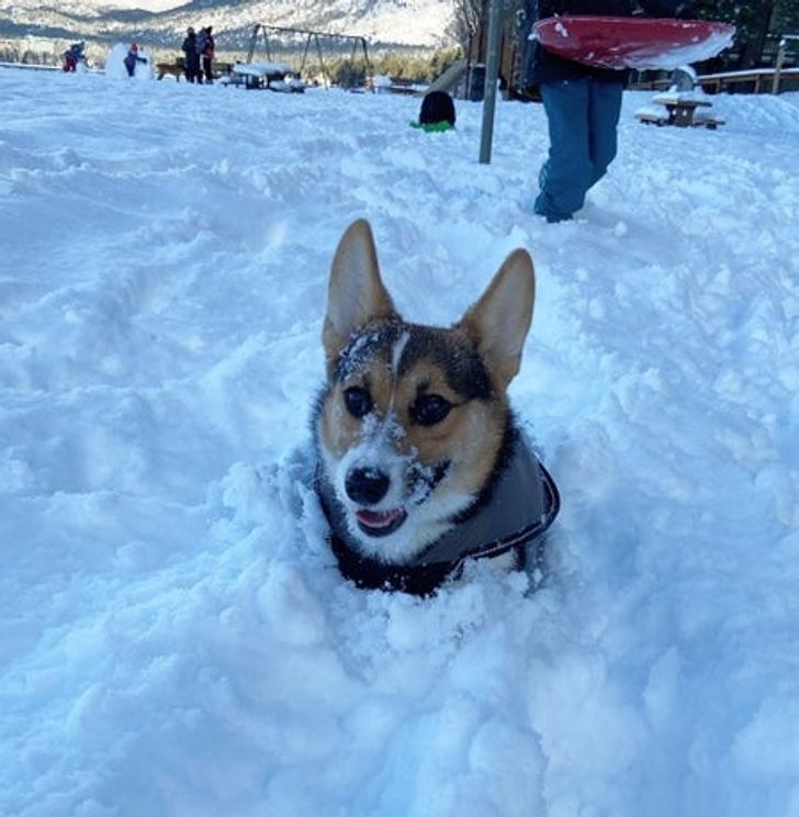 932b3f5cb89589aebef42869f8