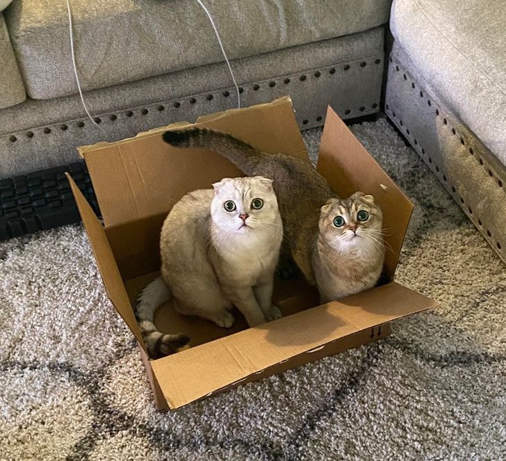 932e7b5f14aa42a1c87629bb4e