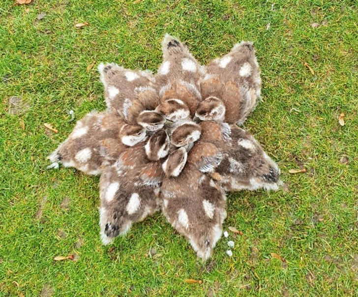 932e9951f498be72a4599aa61a