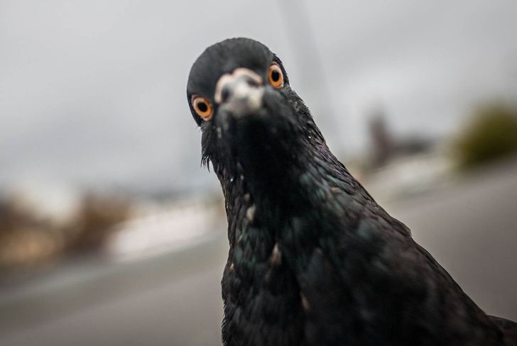 932fcc552ca8fd0d7365bdcb80