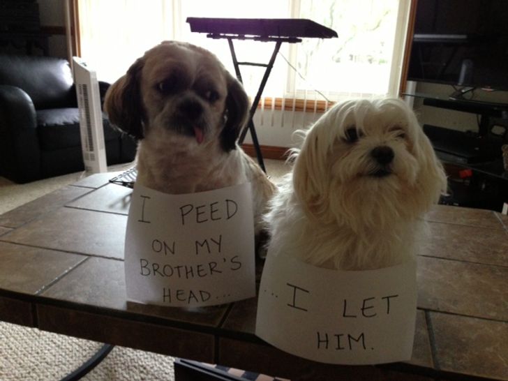 9333475334967050673aaa69ad