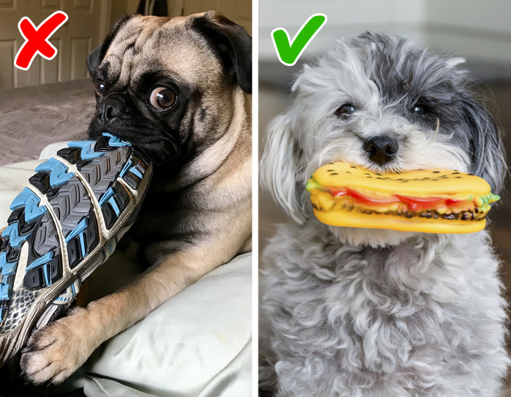 933cc55a9aaad8508c9820270a