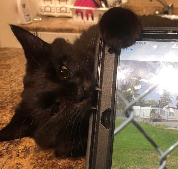 93423f5df8ad39deed1800824a