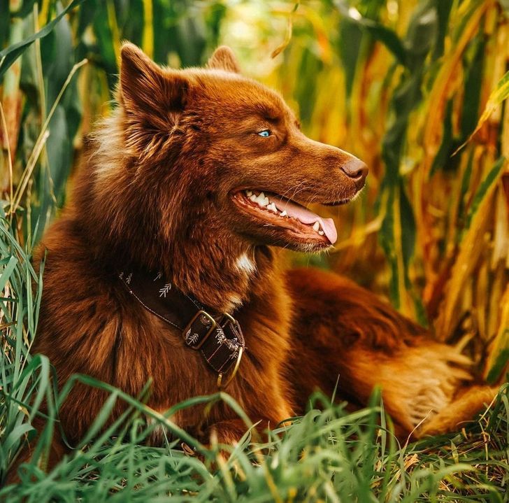 93523555d88fa6705a14027644