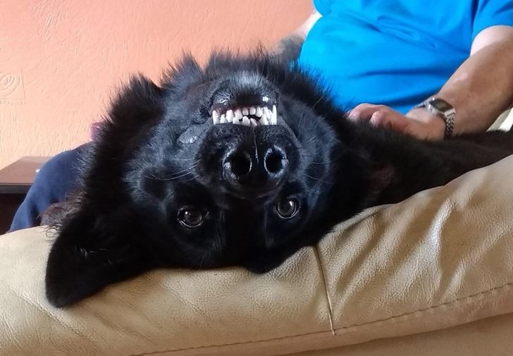 9359525bd8b9643909a0a1397a