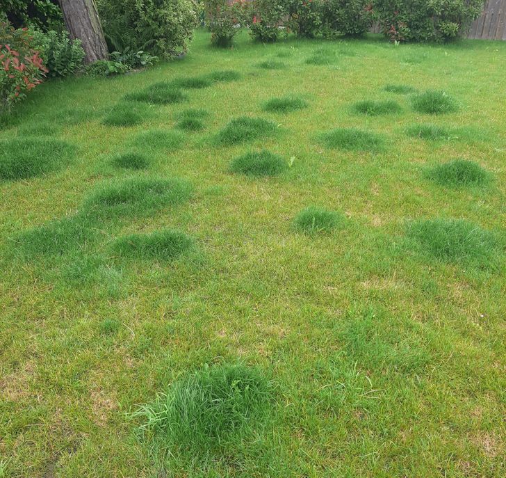 935a065489b19f579f96e20538