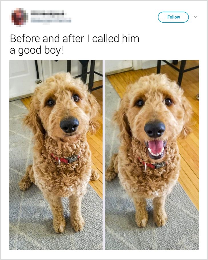 935de35fb8949c775860e58991