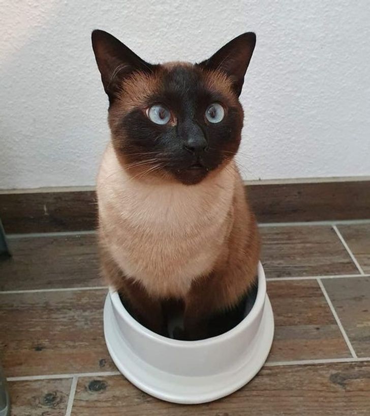 936b7556779638e4450f0bca7f