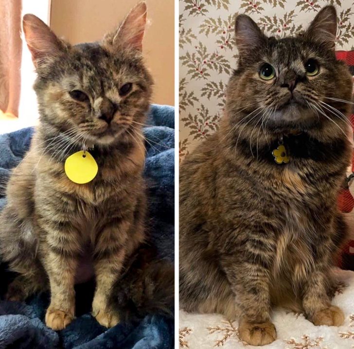 936fd95c619111af8322eade38