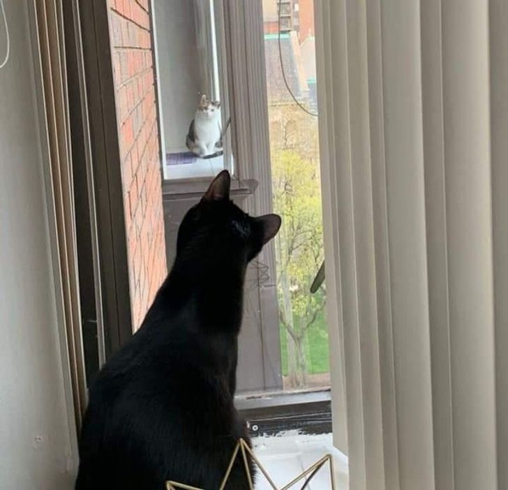 93730655f998875b49d9ed3ec5