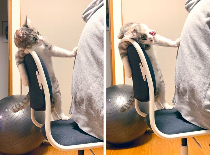 937c675c13adbb2580bc70a2aa