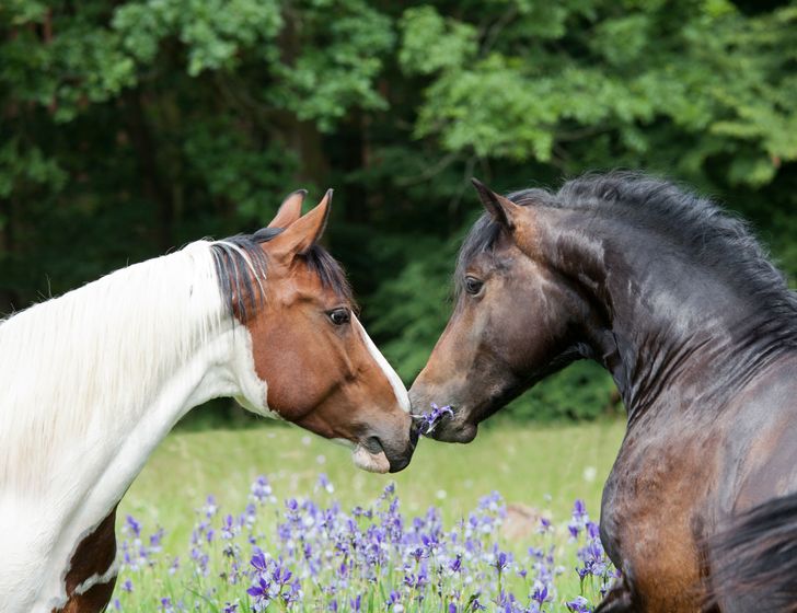 937ff954bf88d14496b32d5087