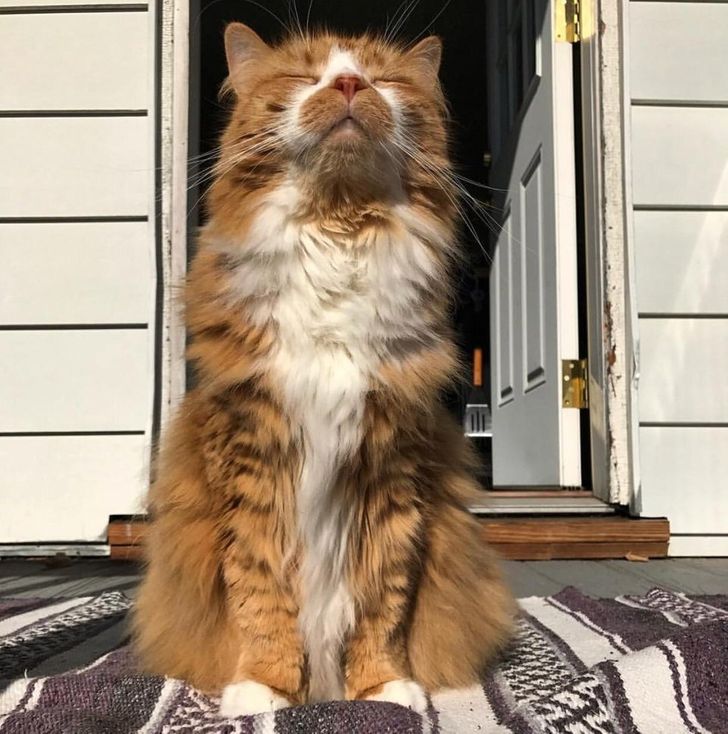 938b52528299ef1740578508eb