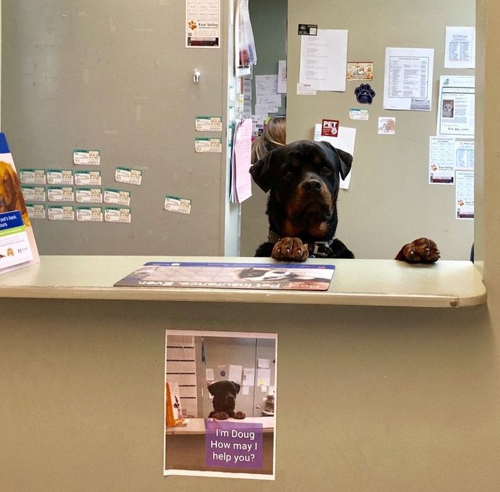 939b58500ba52a0bccfb0a5750