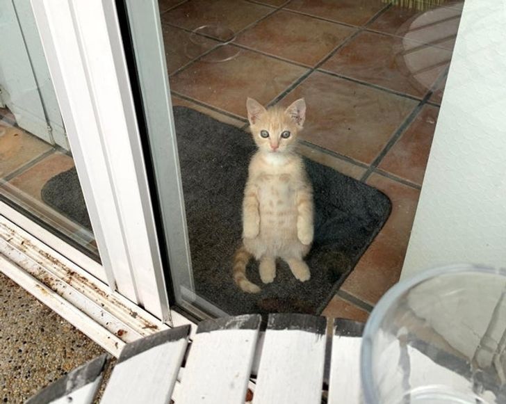 939d395d44bd248ac085e00308