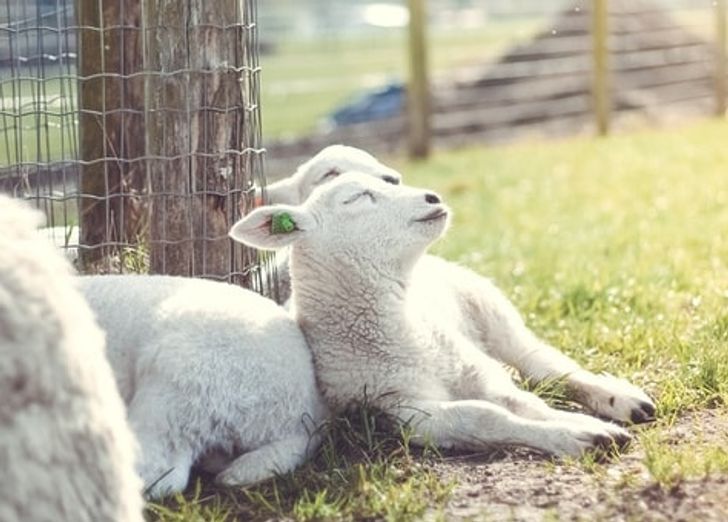 939d87539ca3e451b509f34654 939d87539ca3e451b509f34654