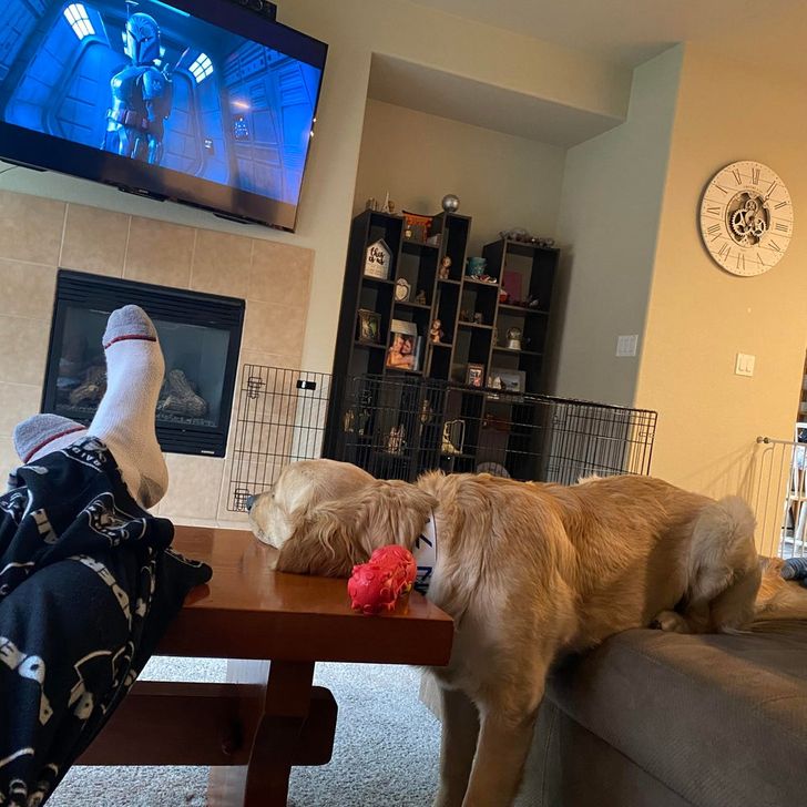 93a4d65d269a82e23e1be72277