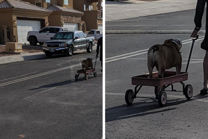 93a4ea54bd98740bb8208deabd