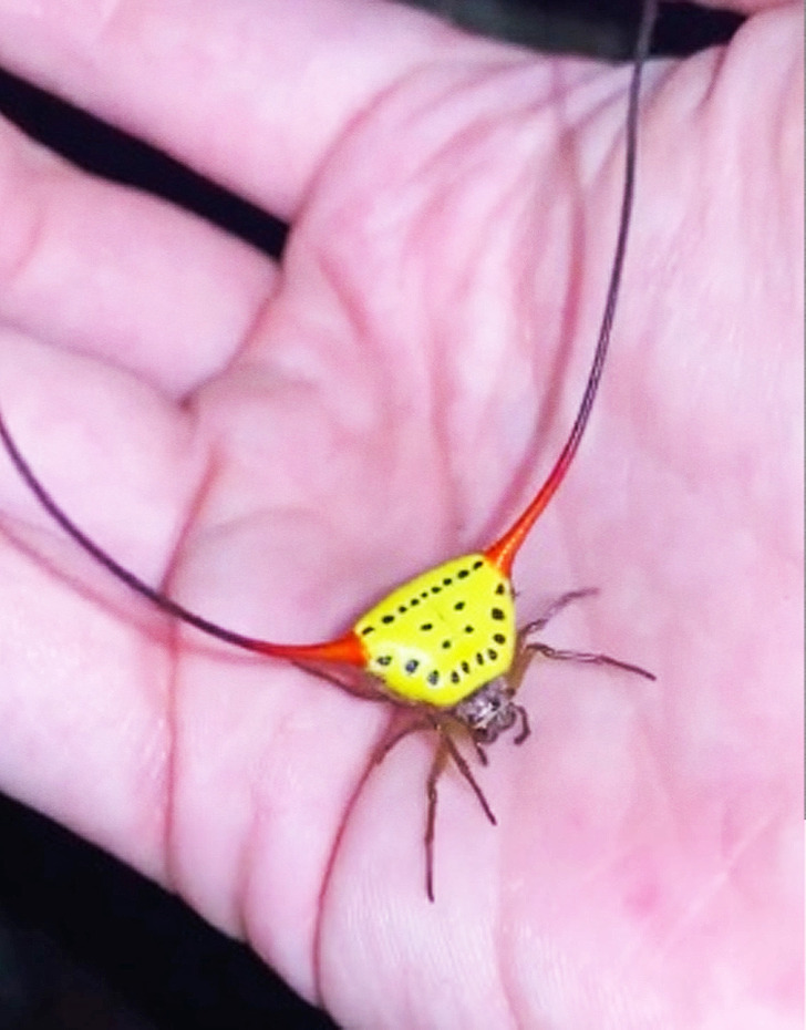 93a7635739a3d8b56556bce060 93a7635739a3d8b56556bce060