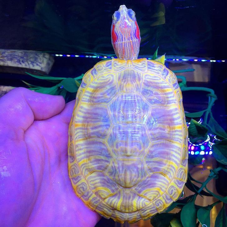 93be15586684041c4892fb1805