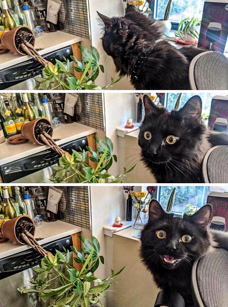 93c3cb56ae818a82f4c1915d75