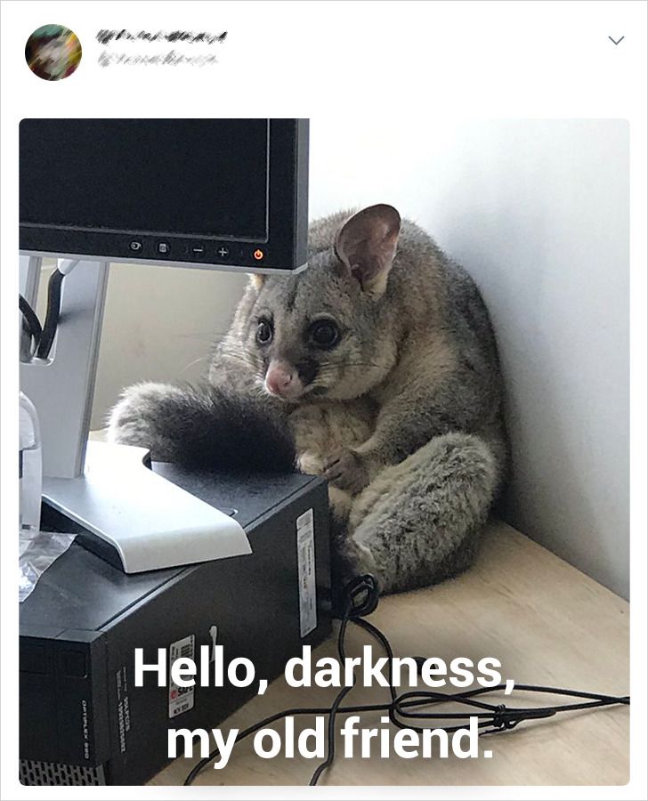 93c5f951f8951a134376d74c0a