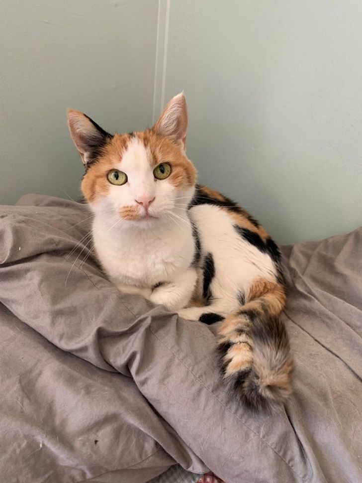 93cac45e518bf366f8786256f0