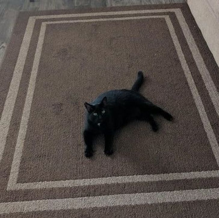 93d1fc52bf989d27422d681fb3