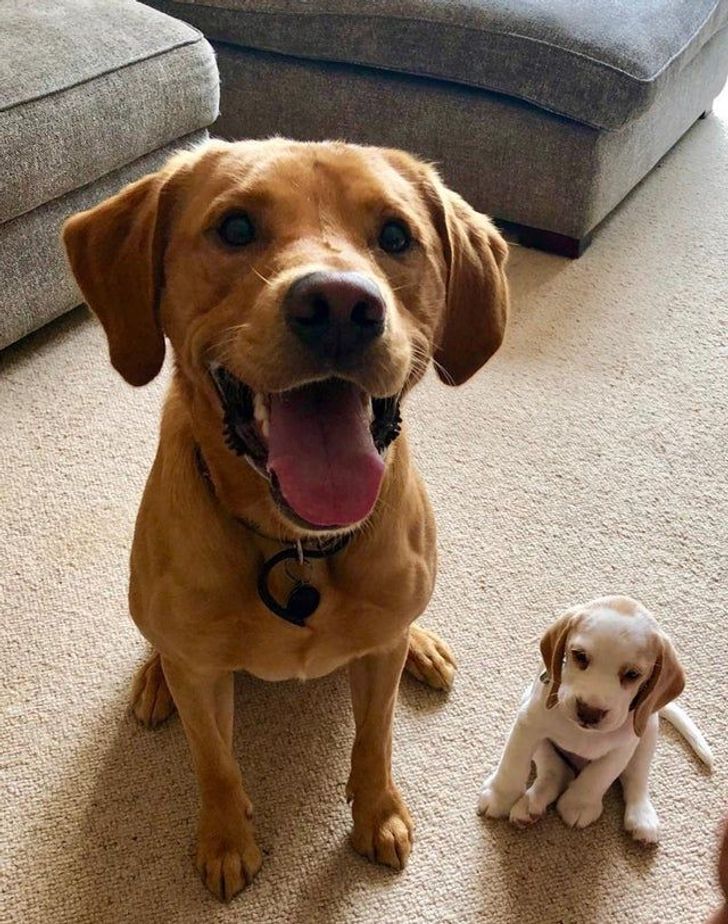 93d81557afb0956edf7c35b9b8