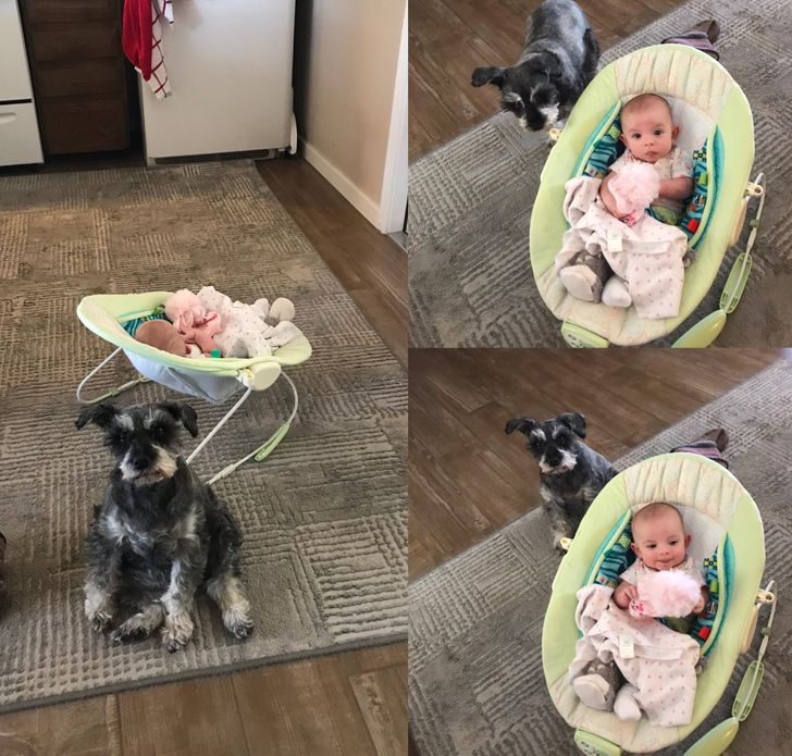 93deb2534e87c80125a29c7816