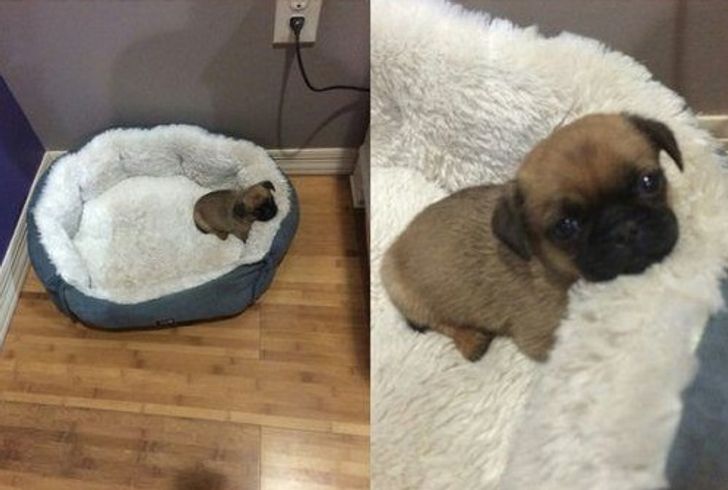 93f8fd55f7b7040ccf274b10cf