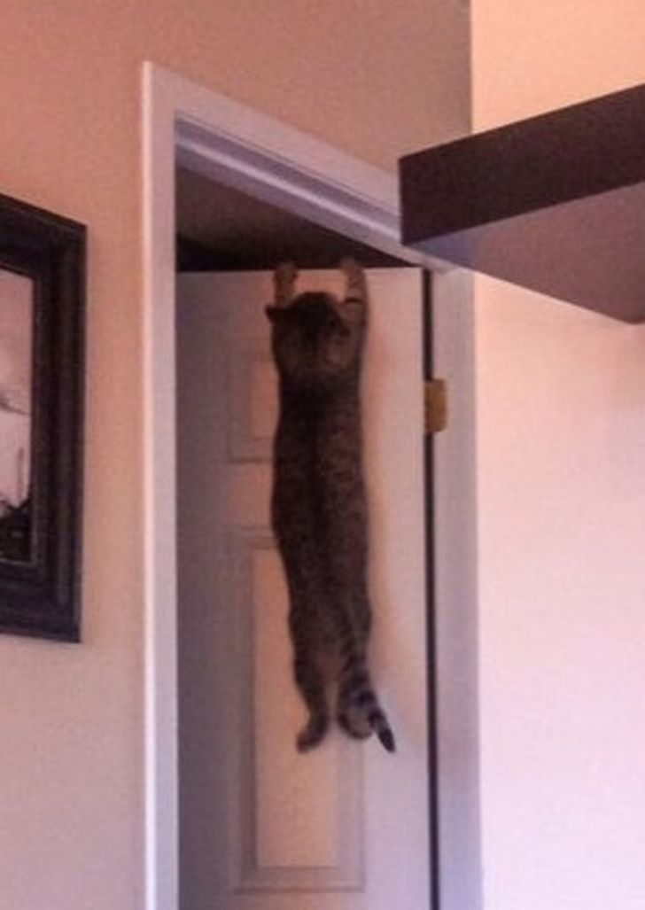 93fa0f5d288b6ed08b27598fd7